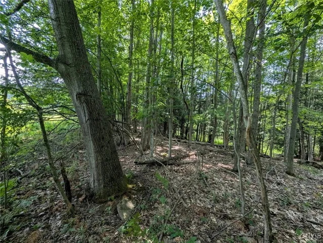 $80,000 | 46 County Route, Arkport, NY 14807