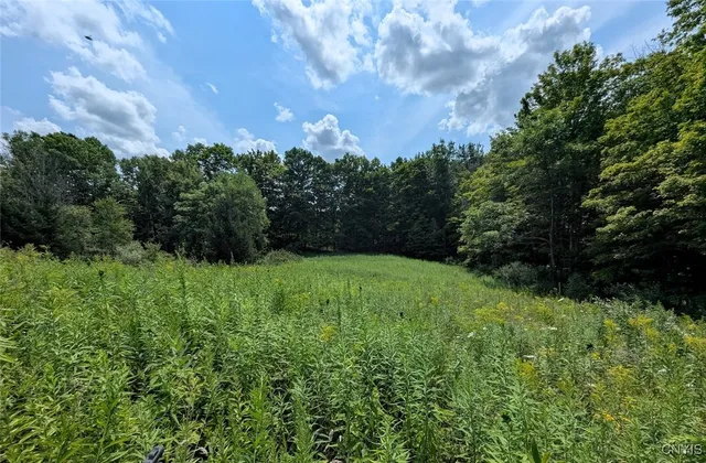 $80,000 | 46 County Route, Arkport, NY 14807