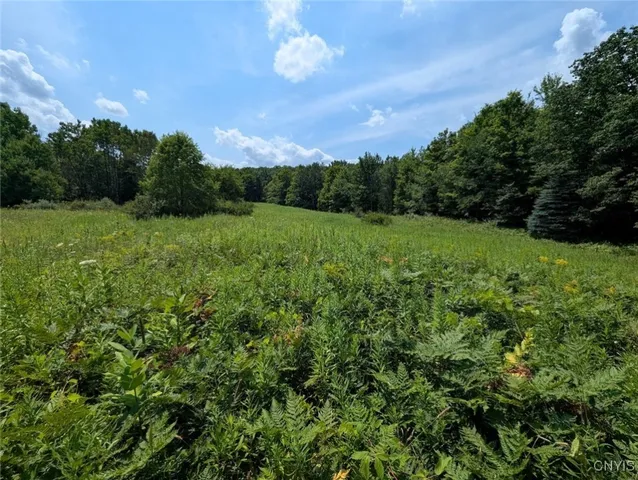 $80,000 | 46 County Route, Arkport, NY 14807