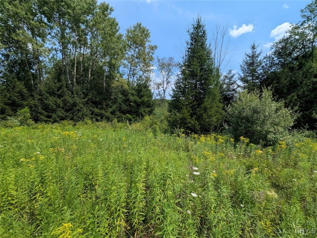 46 County Route Arkport, NY 14807 - Photo 32 of 43