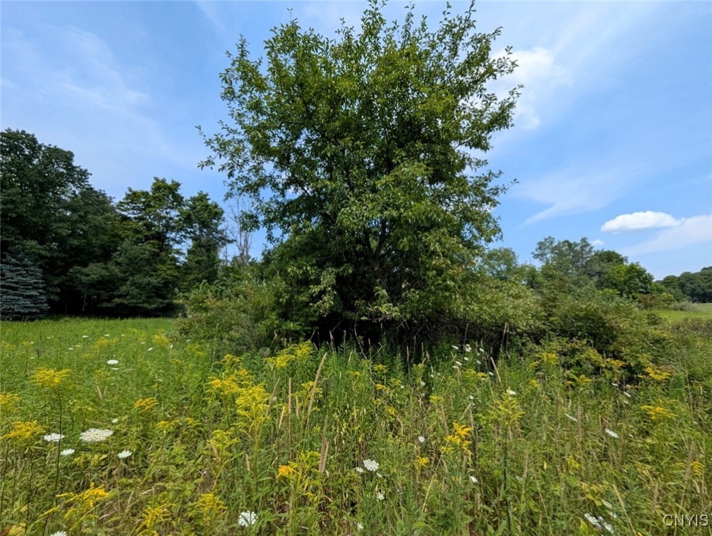 46 County Route Arkport, NY 14807 - Photo 33 of 43