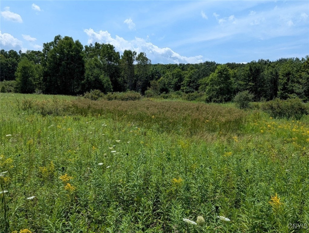 46 County Route Arkport, NY 14807 - Photo 34 of 43