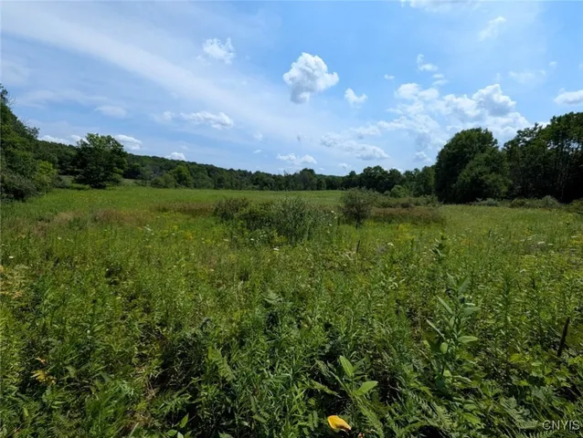 $80,000 | 46 County Route, Arkport, NY 14807