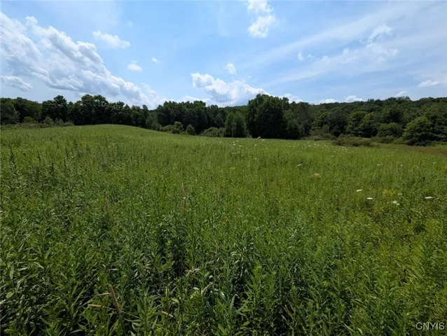 $80,000 | 46 County Route, Arkport, NY 14807