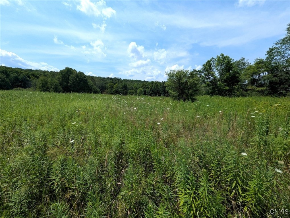 46 County Route Arkport, NY 14807 - Photo 37 of 43