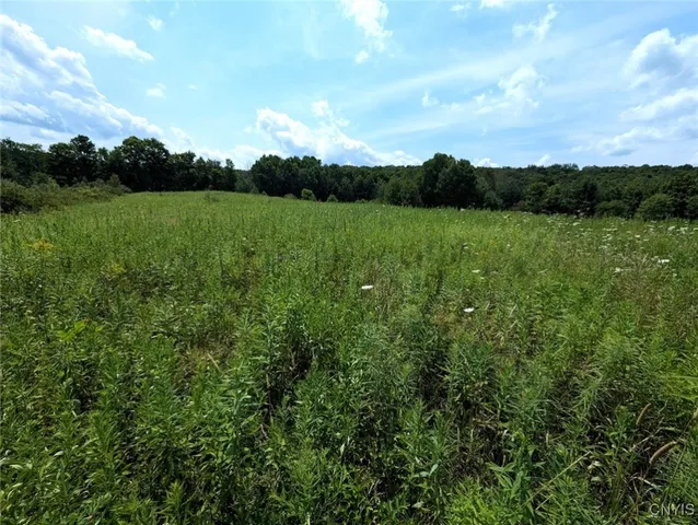 $80,000 | 46 County Route, Arkport, NY 14807