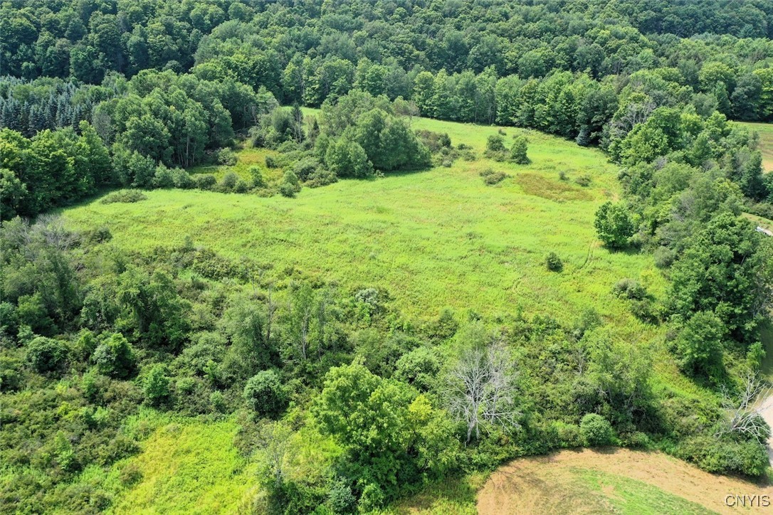 46 County Route Arkport, NY 14807 - Photo 39 of 43