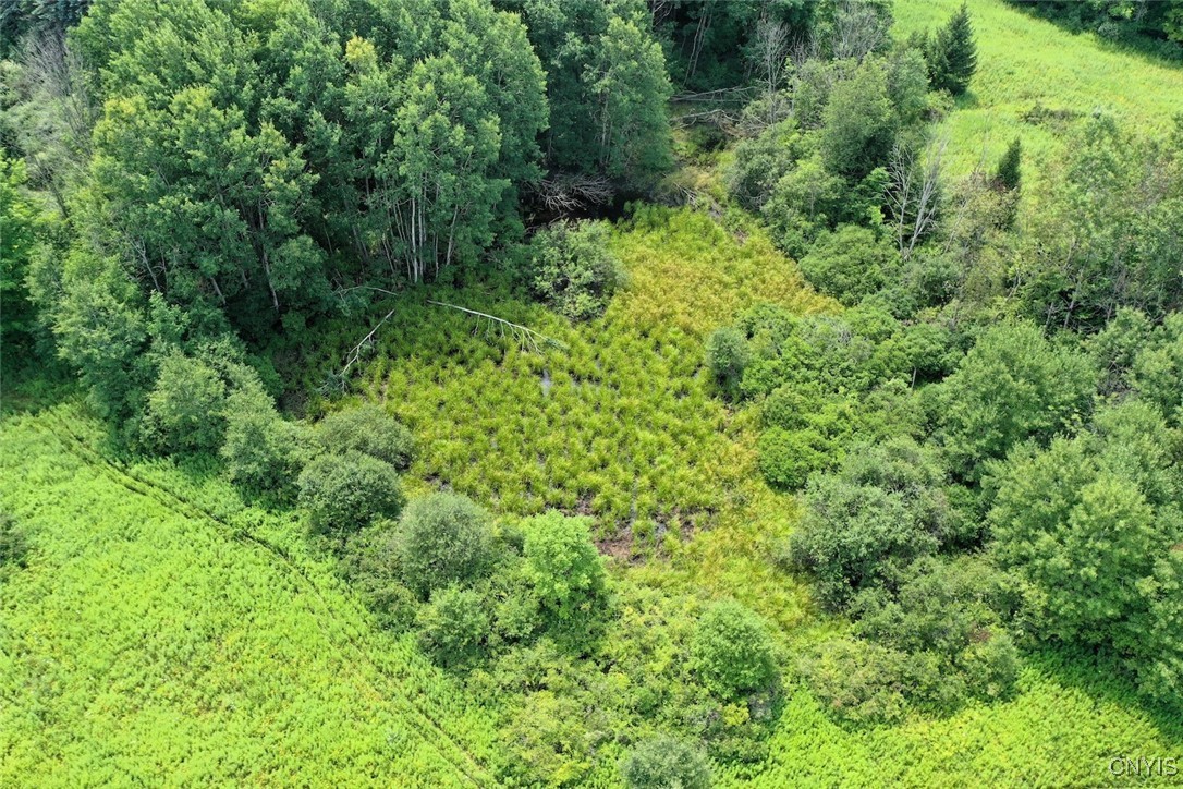 46 County Route Arkport, NY 14807 - Photo 40 of 43