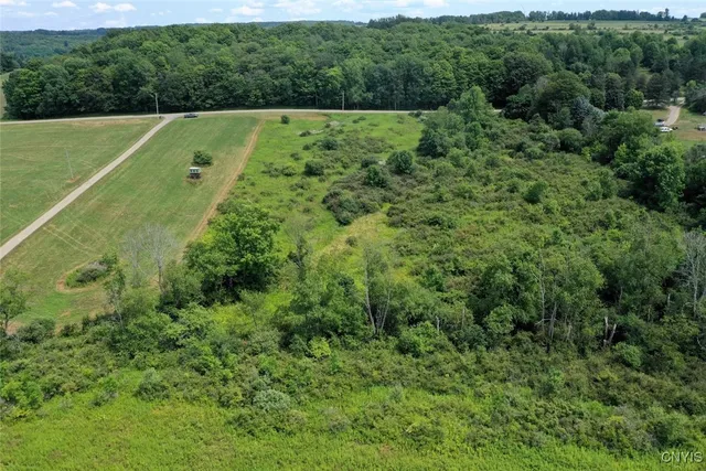 $80,000 | 46 County Route, Arkport, NY 14807