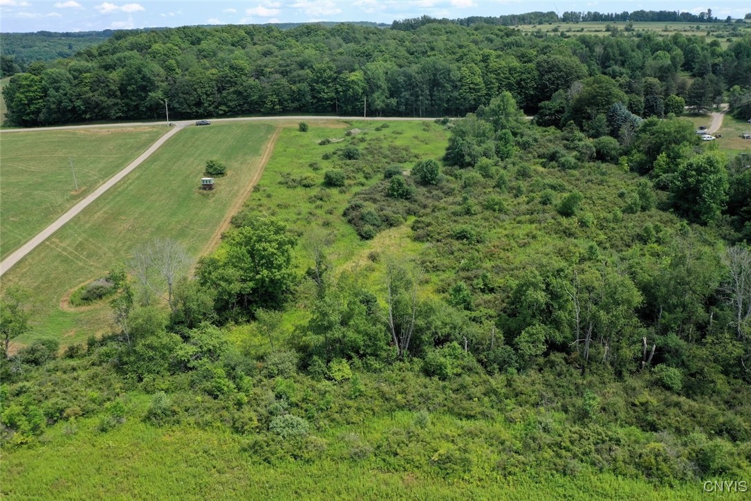 46 County Route Arkport, NY 14807 - Photo 4 of 43