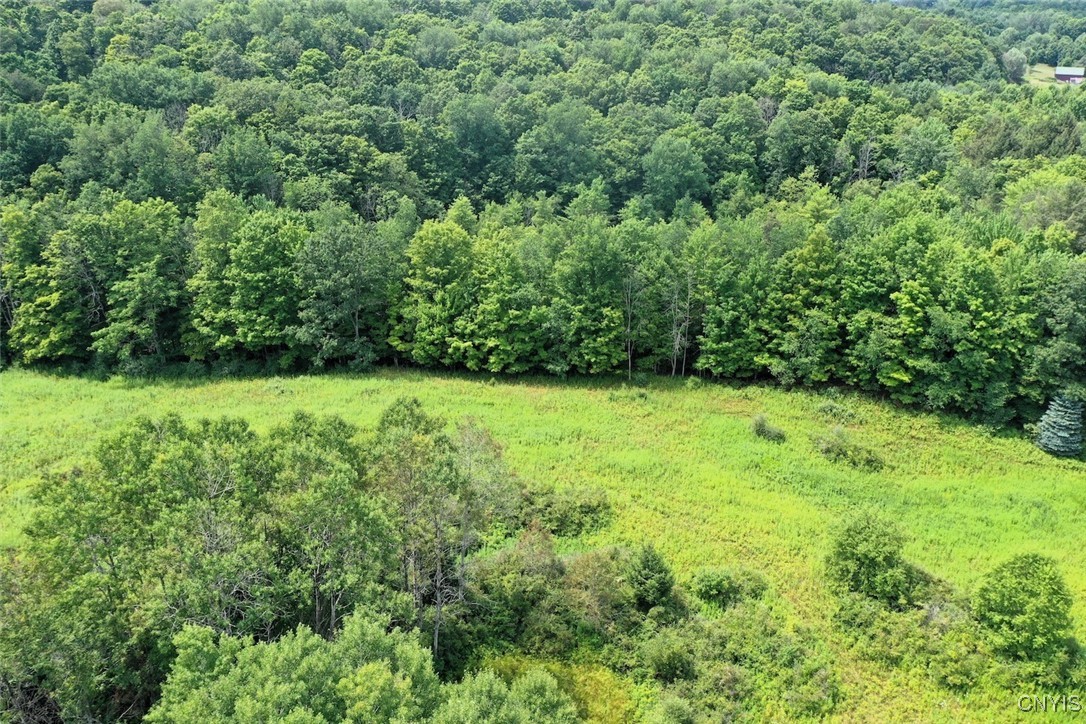 46 County Route Arkport, NY 14807 - Photo 41 of 43