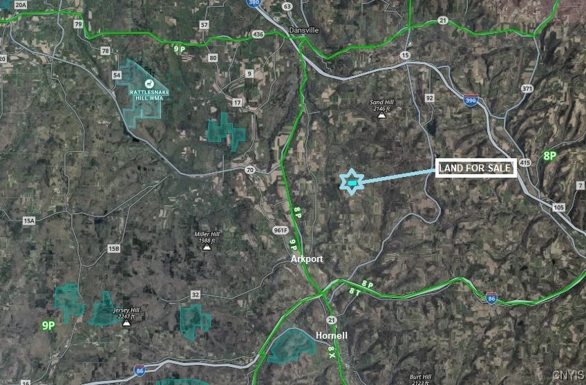 46 County Route Arkport, NY 14807 - Photo 43 of 43