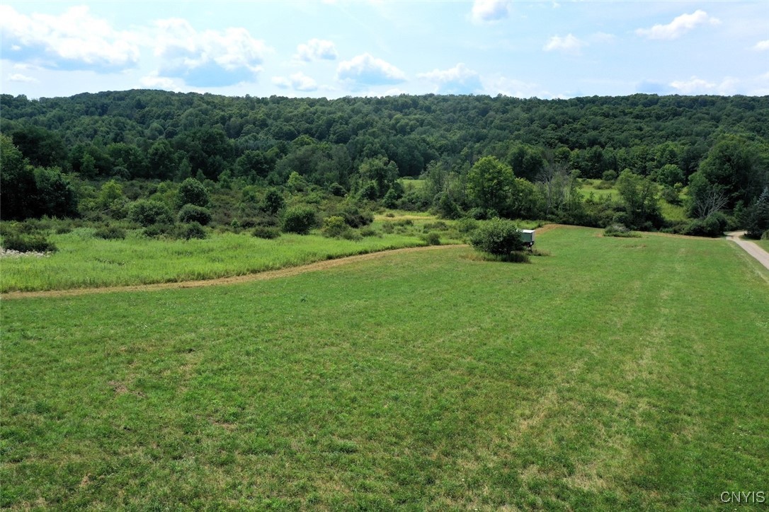 46 County Route Arkport, NY 14807 - Photo 7 of 43