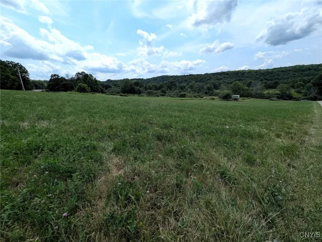 $80,000 | 46 County Route, Arkport, NY 14807