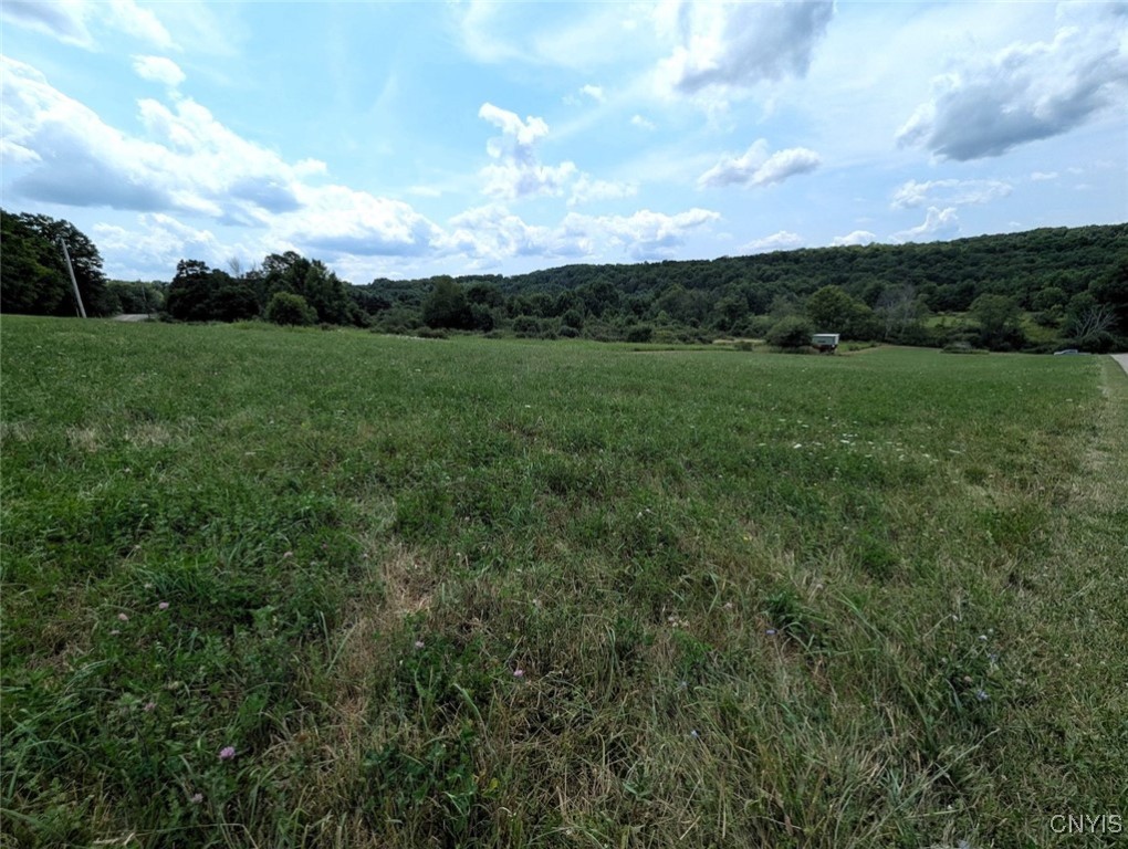 46 County Route Arkport, NY 14807 - Photo 9 of 43