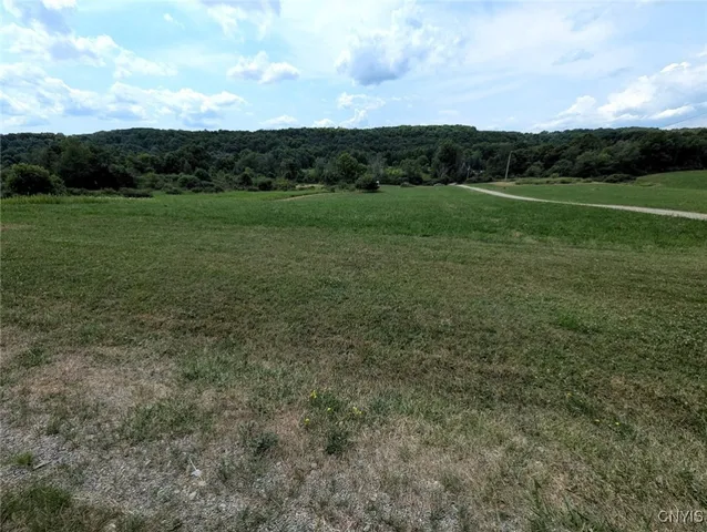 $80,000 | 46 County Route, Arkport, NY 14807