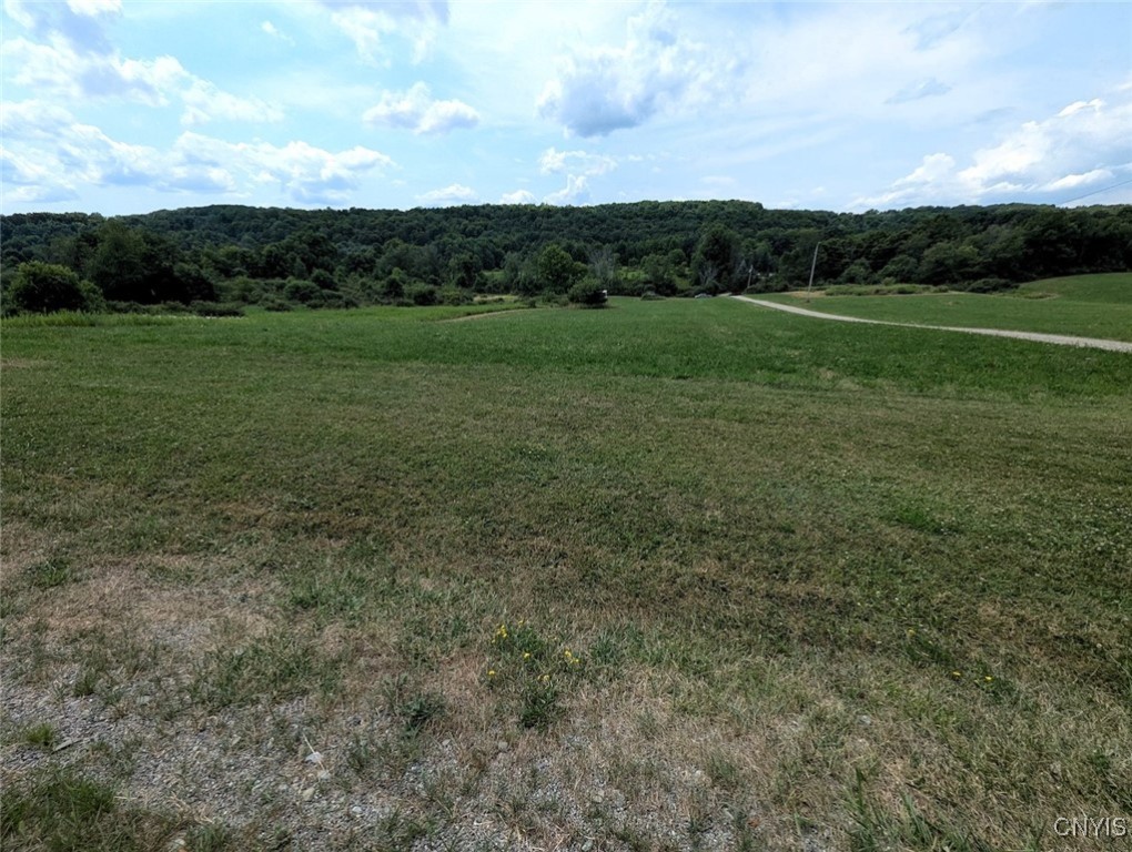 46 County Route Arkport, NY 14807 - Photo 10 of 43