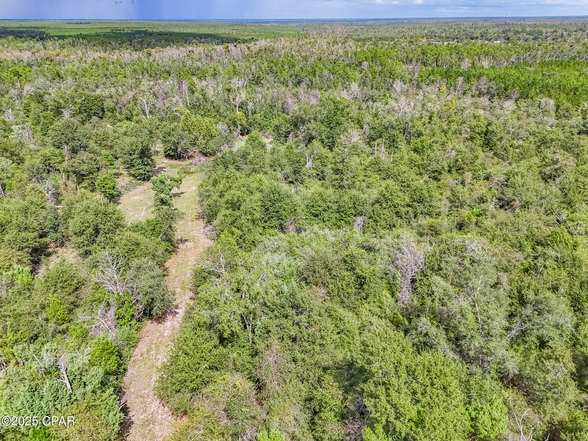 10215 Campflowers Road Youngstown, FL 32466 - Photo 13 of 21