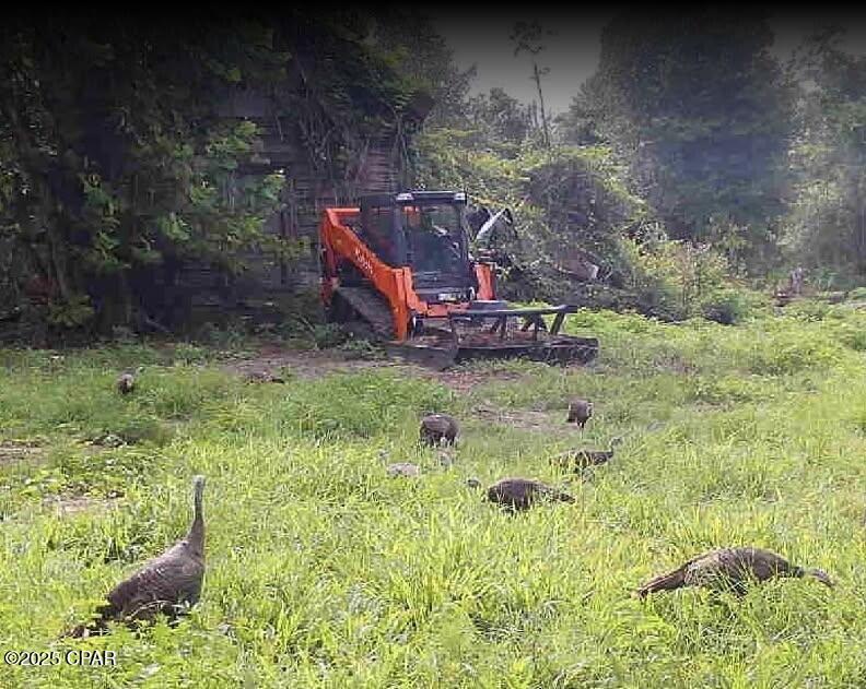 10215 Campflowers Road Youngstown, FL 32466 - Photo 17 of 21