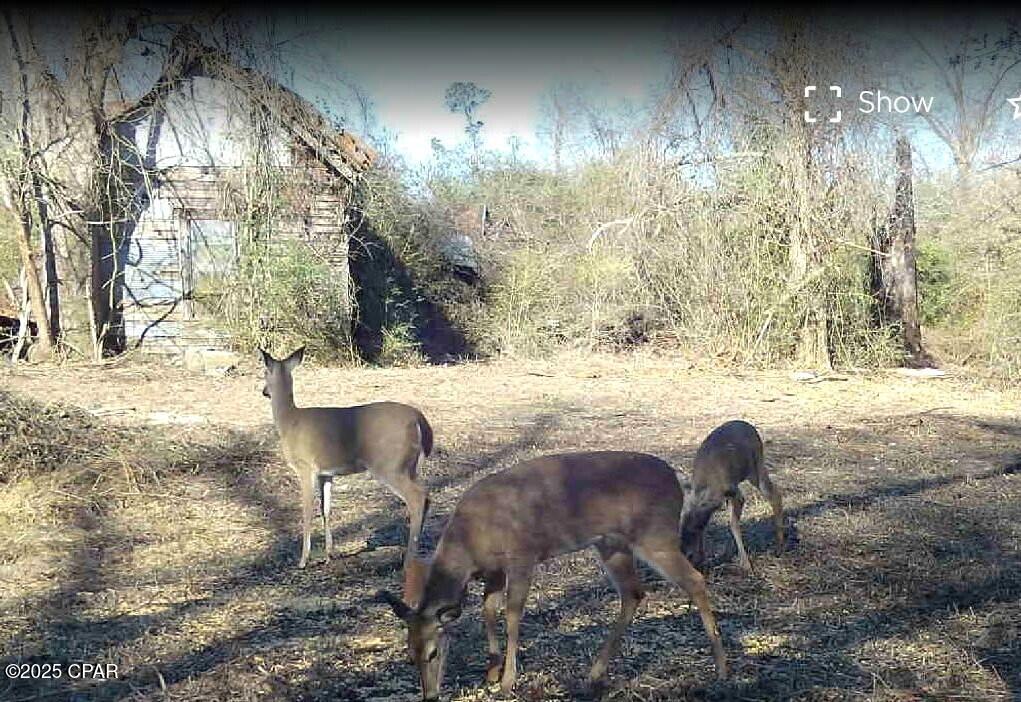 10215 Campflowers Road Youngstown, FL 32466 - Photo 18 of 21