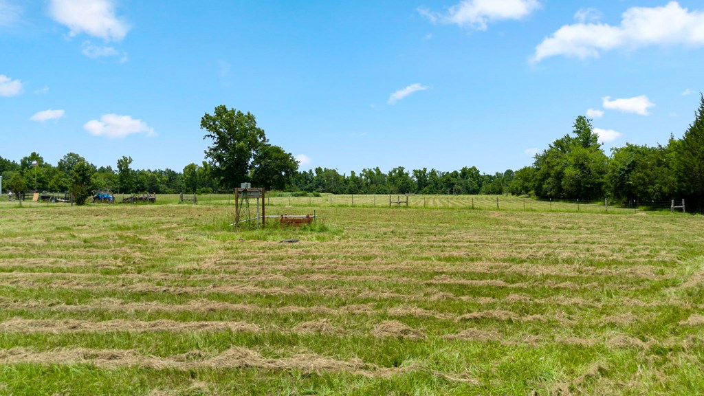 0 Fm 1211 Rusk, TX 75785 - Photo 12 of 14