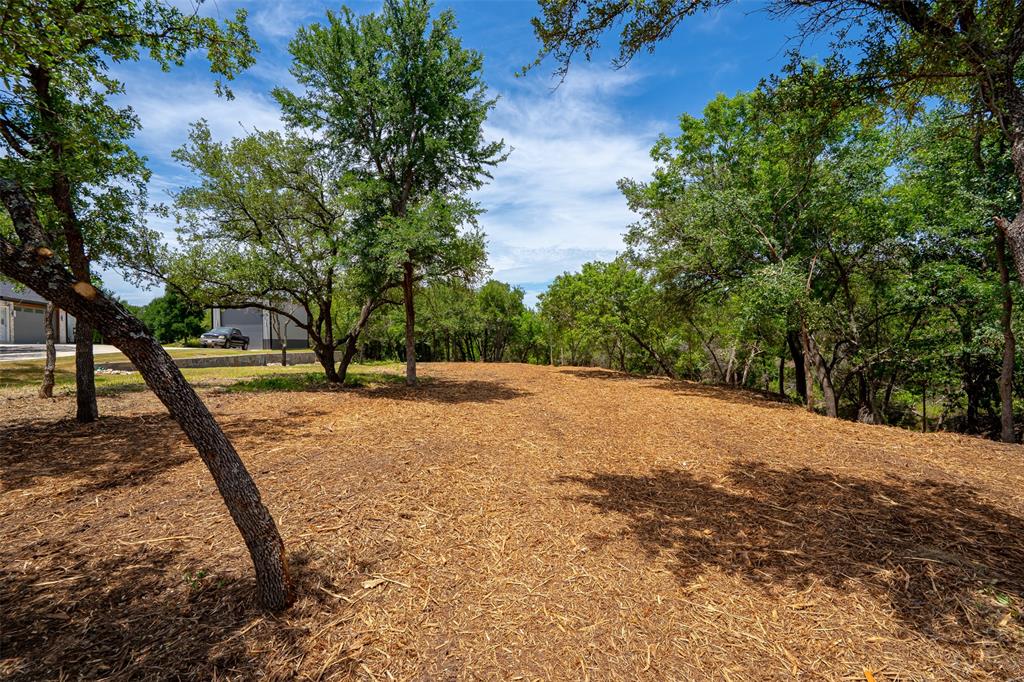 1018 Creek Crossing Road Nemo, TX 76070 - Photo 7 of 37