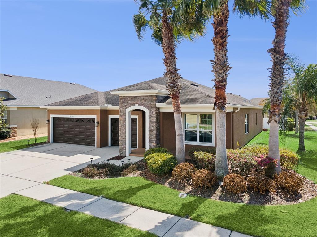 31518 Bearded Oak Drive Wesley Chapel, FL 33543 - Photo 2 of 56