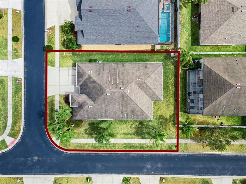 31518 Bearded Oak Drive Wesley Chapel, FL 33543 - Photo 45 of 56
