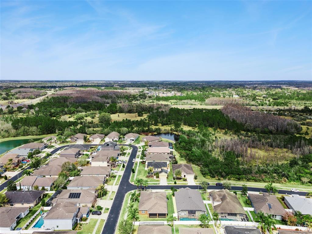 31518 Bearded Oak Drive Wesley Chapel, FL 33543 - Photo 50 of 56