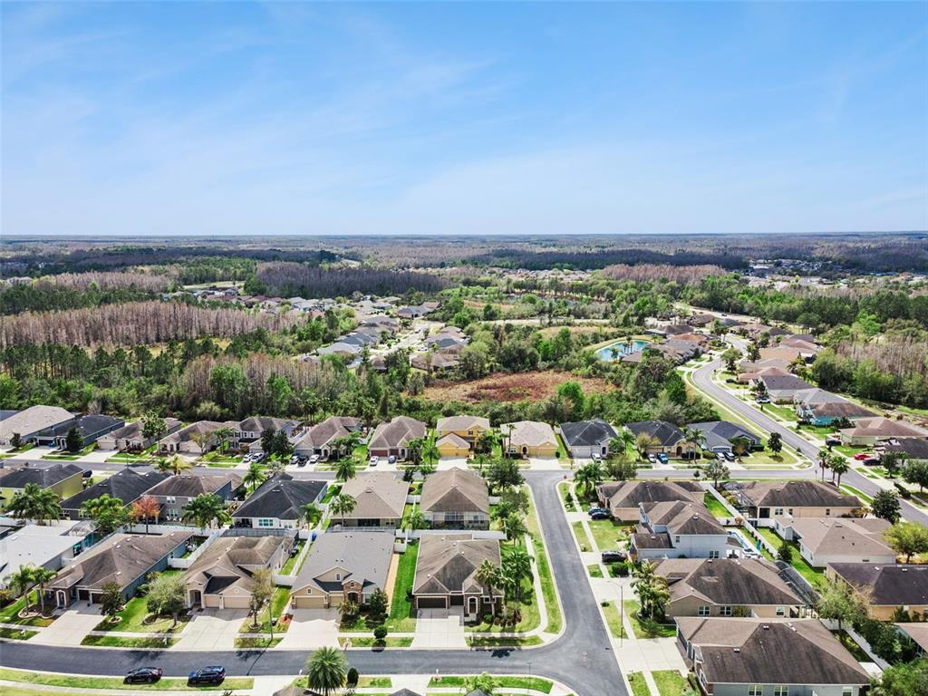 31518 Bearded Oak Drive Wesley Chapel, FL 33543 - Photo 51 of 56 an aerial view of multiple house
