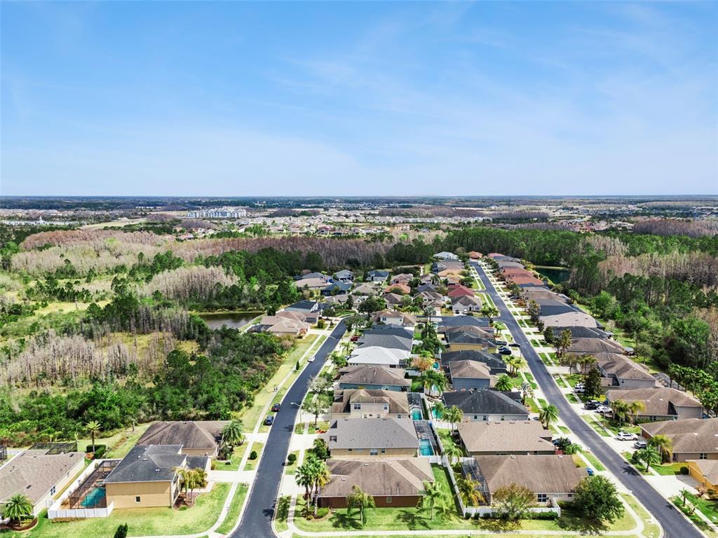 31518 Bearded Oak Drive Wesley Chapel, FL 33543 - Photo 54 of 56