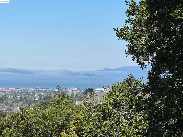 a view of balcony with small garden