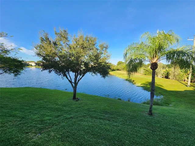 a view of a garden with a tree