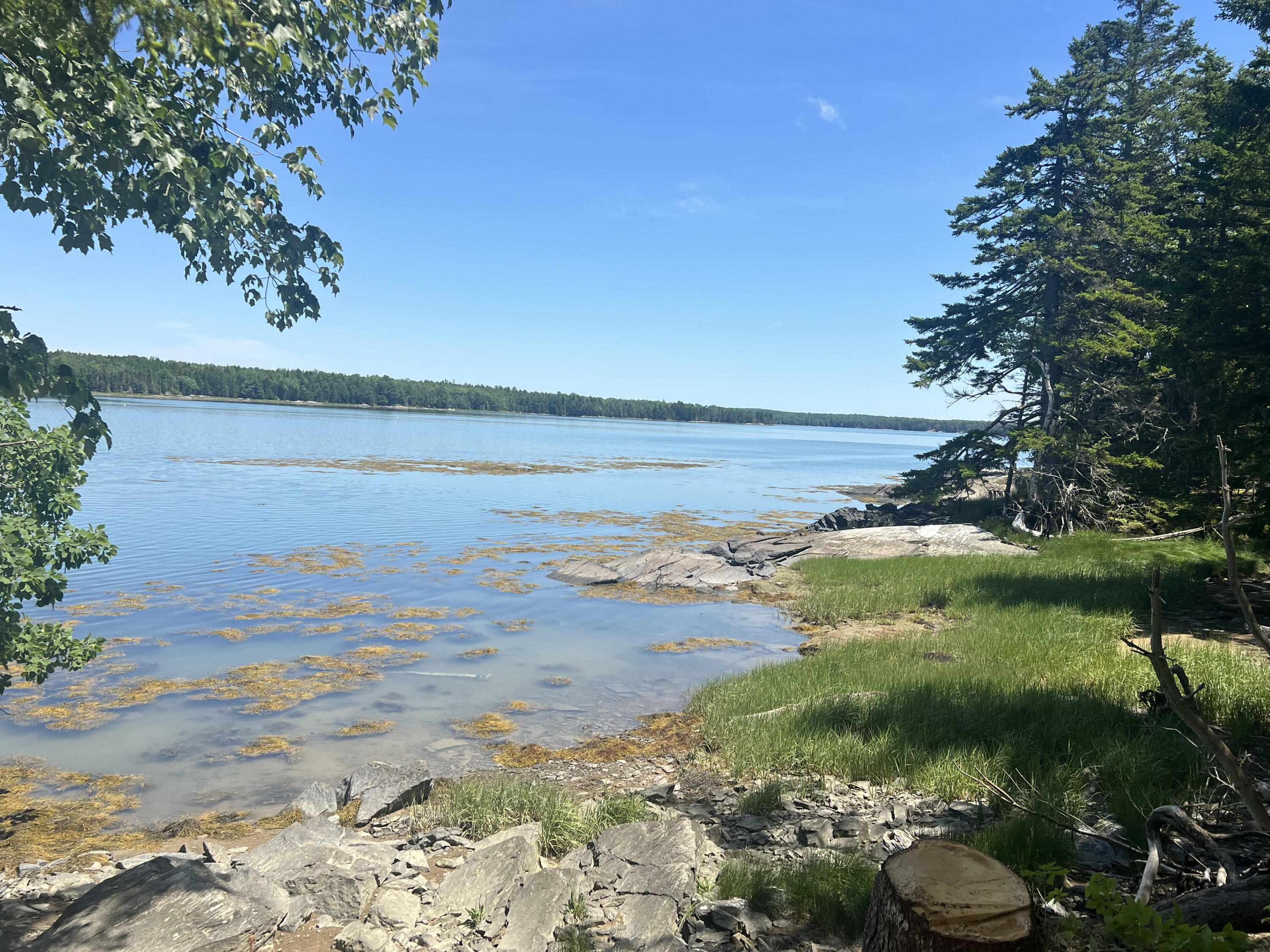 Lot #2 Seal Point Road Lamoine, ME 04605 - Photo 11 of 14 Lot4 Shoreline