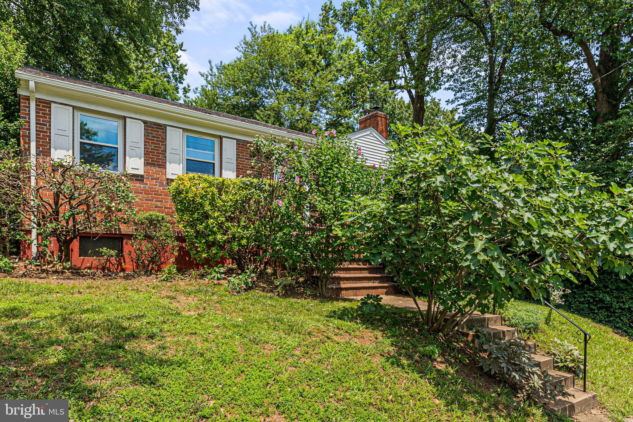 6517 29th Street North Arlington, VA 22213 - Photo 3 of 49 a view of house with yard