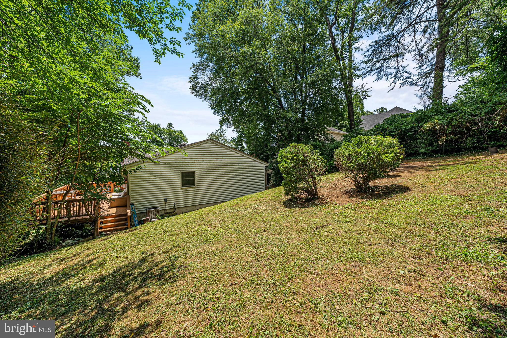 6517 29th Street North Arlington, VA 22213 - Photo 46 of 49 a backyard of a house with lots of green space