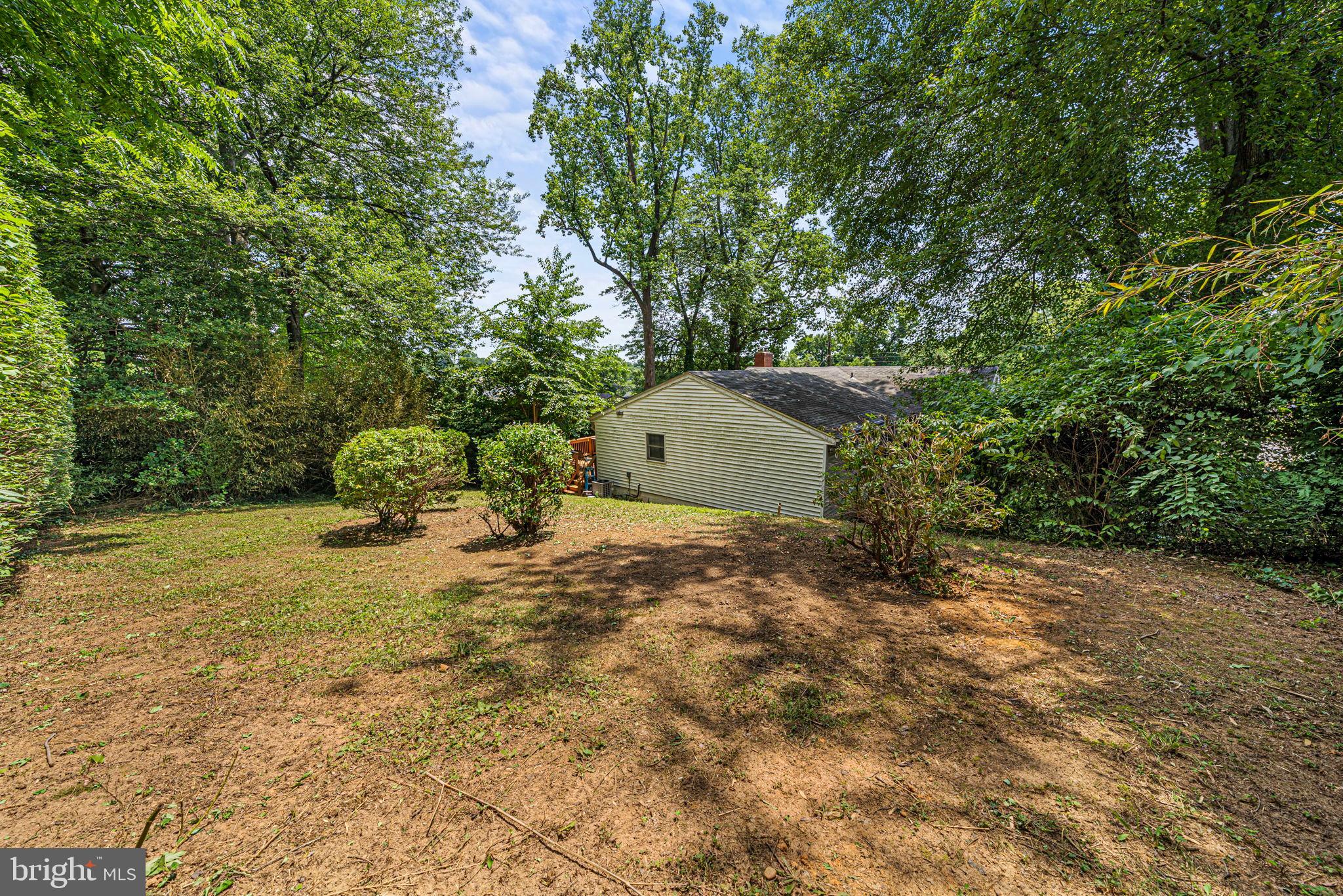 6517 29th Street North Arlington, VA 22213 - Photo 47 of 49 a backyard of a house