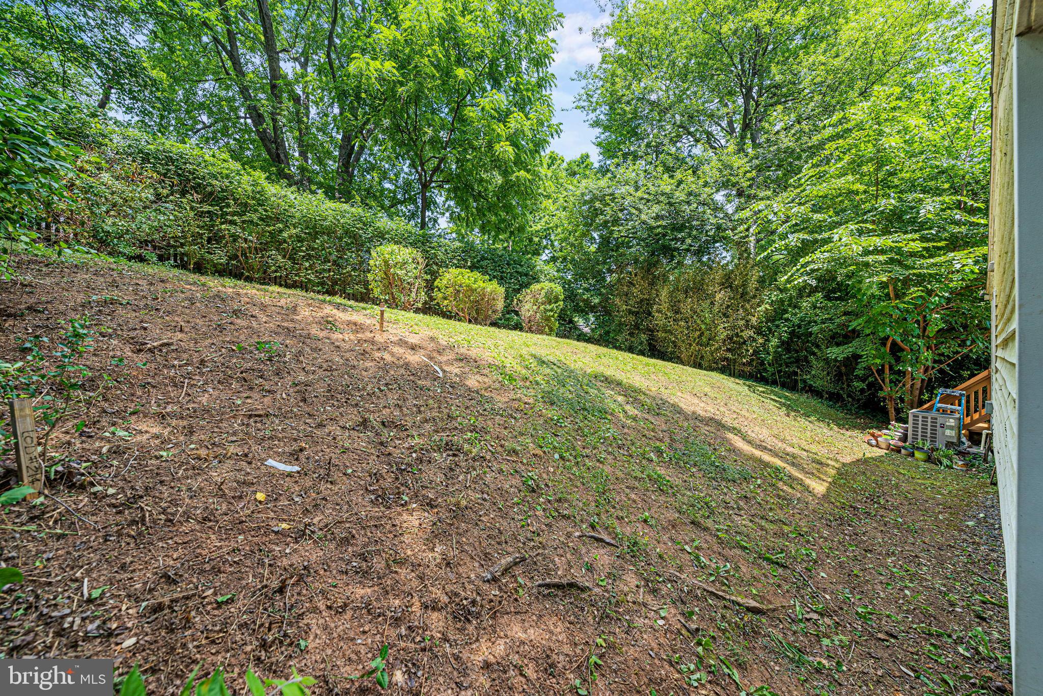 6517 29th Street North Arlington, VA 22213 - Photo 48 of 49 a view of a yard with a tree