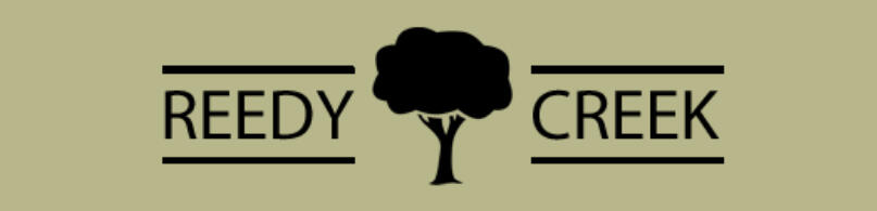 a view of staircase with white wall and a potted plant