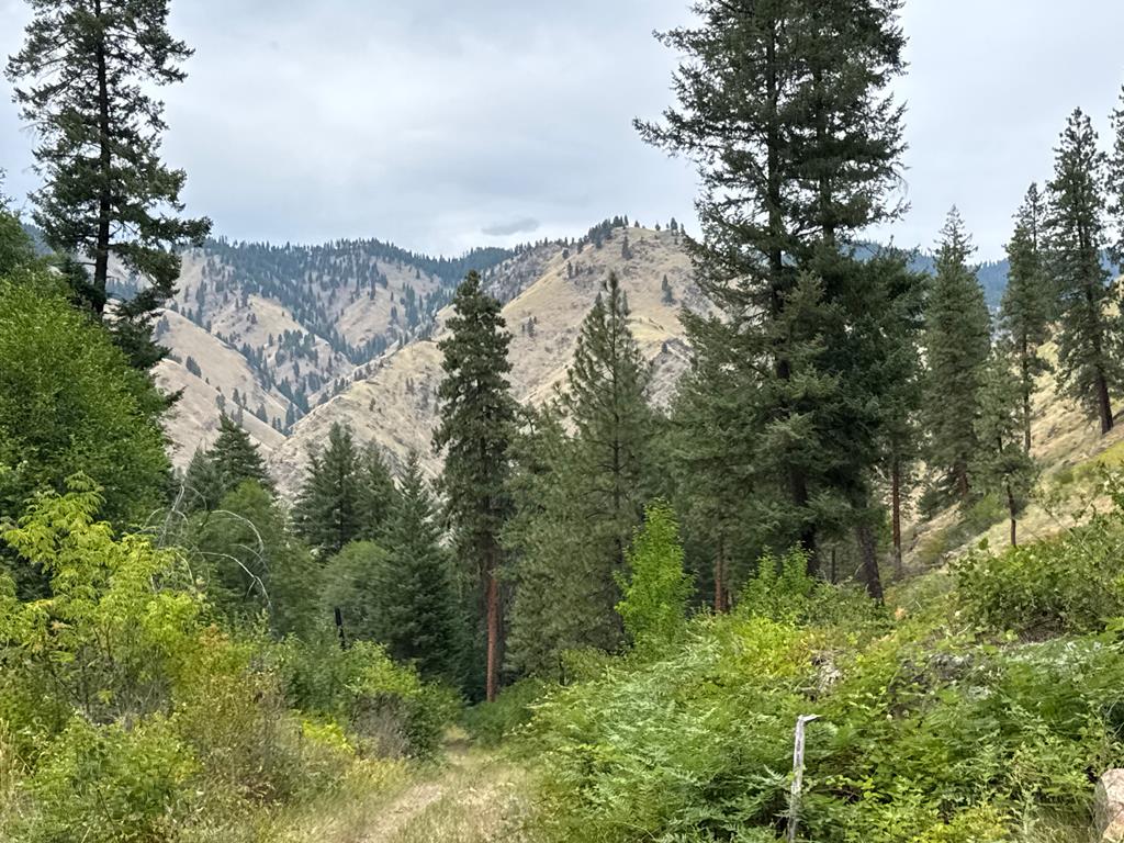 0 Salmon River Road Riggins, ID 83549 - Photo 9 of 12