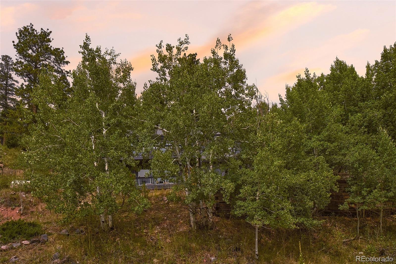11740 Bacard Road Conifer, CO 80433 - Photo 48 of 50 Gallery Image 48