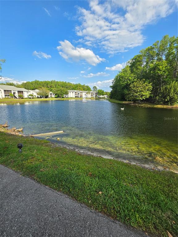 1281 Pine Ridge Circle East, Unit B1 Tarpon Springs, FL 34688 - Photo 28 of 30 a view of a lake with houses in the back