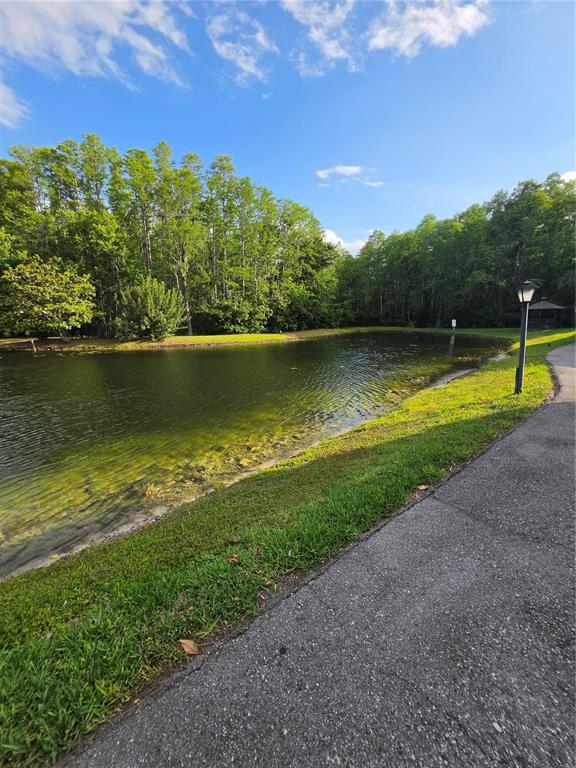 1281 Pine Ridge Circle East, Unit B1 Tarpon Springs, FL 34688 - Photo 29 of 30 a view of a lake with a big yard