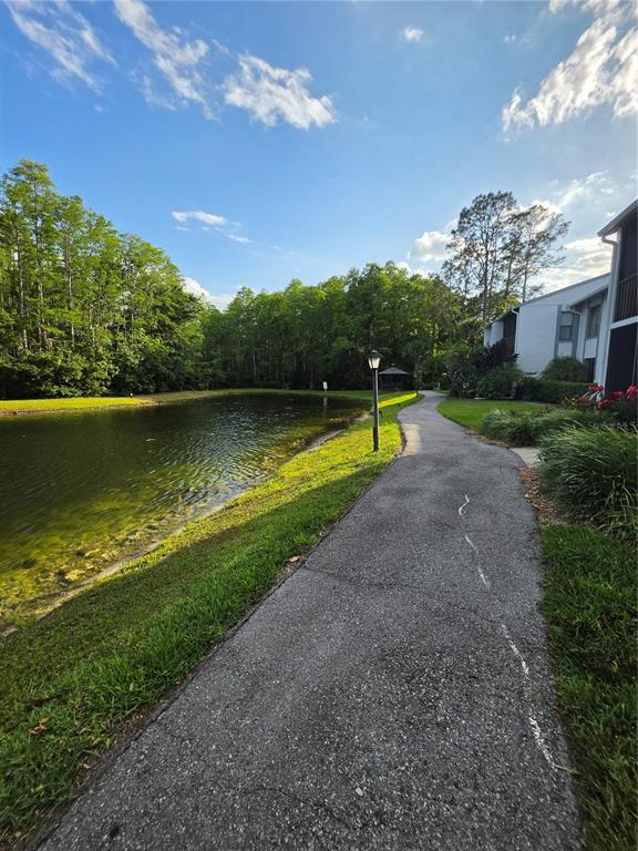 1281 Pine Ridge Circle East, Unit B1 Tarpon Springs, FL 34688 - Photo 30 of 30 a view of a lake with a big yard