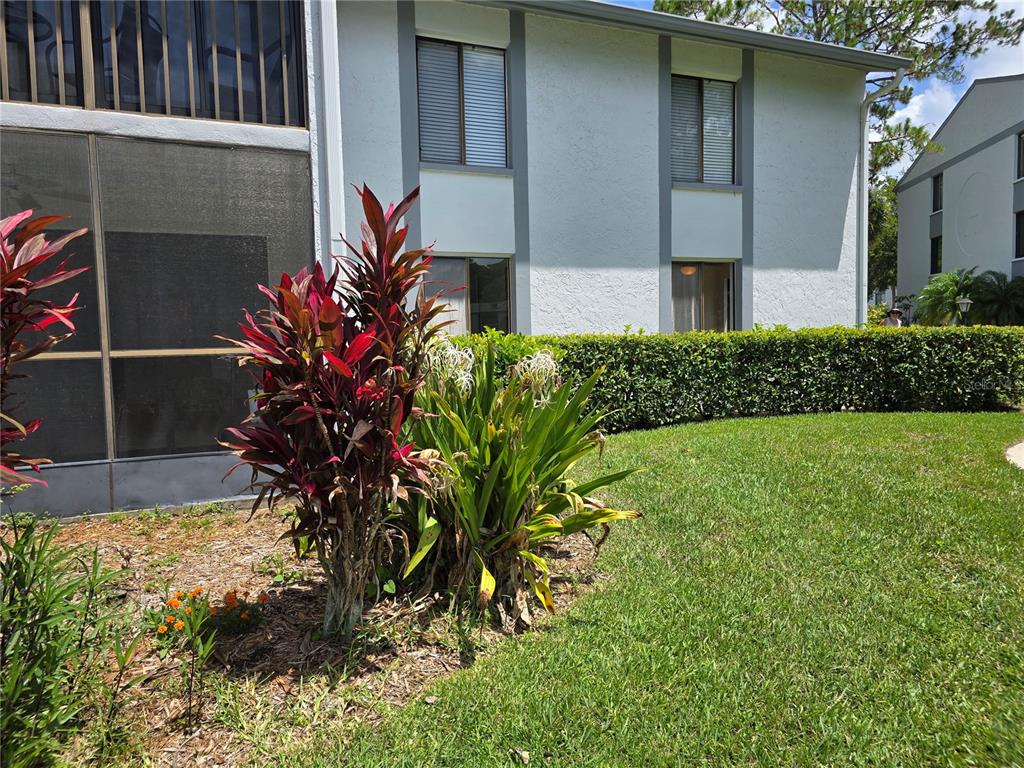 1281 Pine Ridge Circle East, Unit B1 Tarpon Springs, FL 34688 - Photo 5 of 32