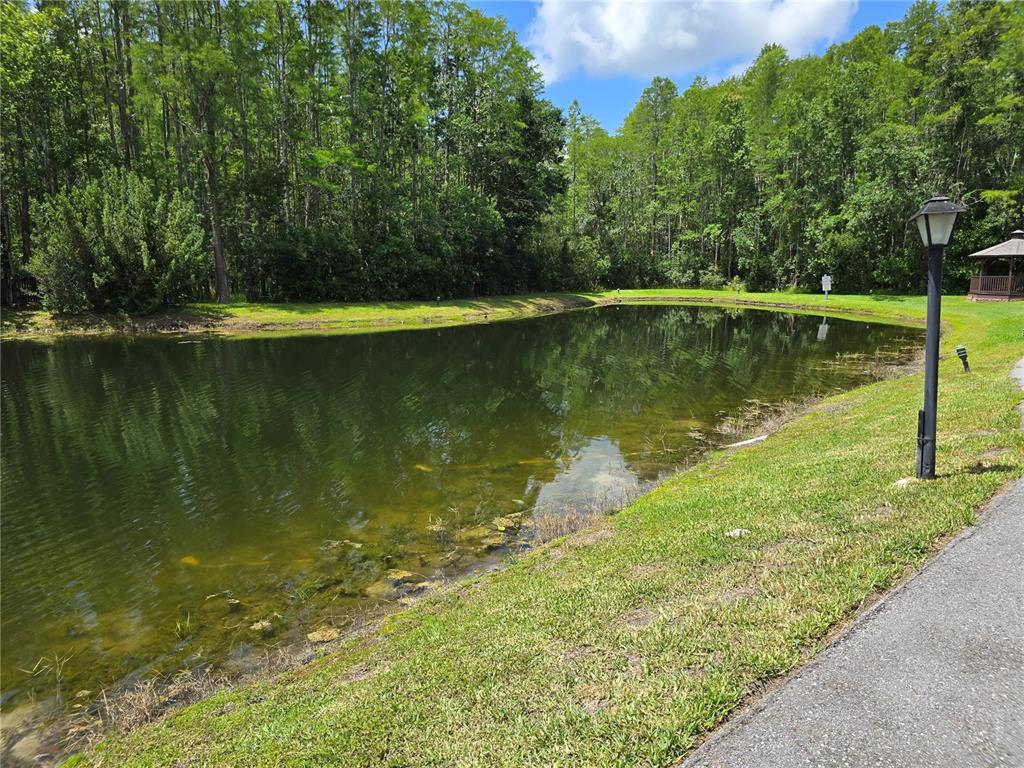 1281 Pine Ridge Circle East, Unit B1 Tarpon Springs, FL 34688 - Photo 6 of 32