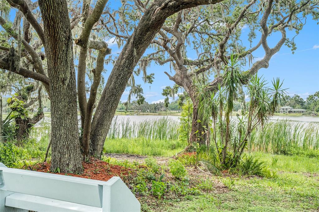 14050 Blackjack Road Dover, FL 33527 - Photo 34 of 44