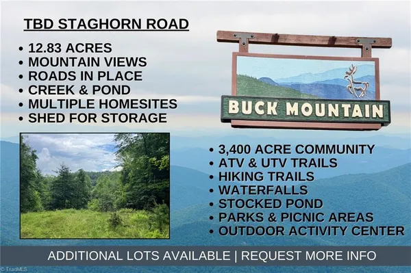 $149,900 | Tbd Staghorn Road, Purlear, NC 28665