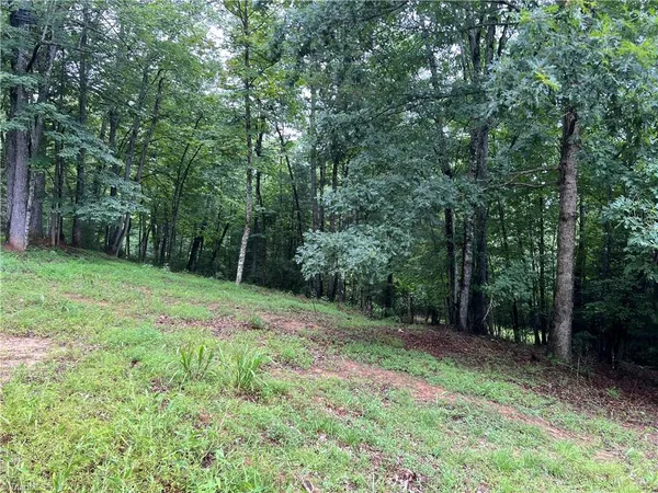 $149,900 | Tbd Staghorn Road, Purlear, NC 28665