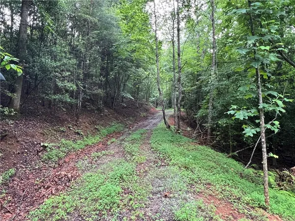 $149,900 | Tbd Staghorn Road, Purlear, NC 28665